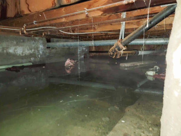 Best Emergency water damage restoration  in Colorado City, AZ