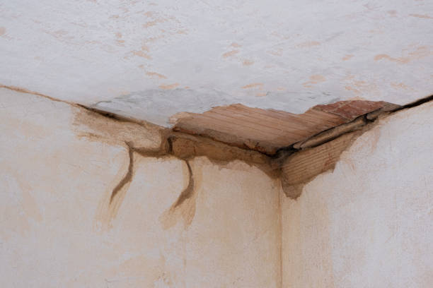 Local water damage restoration in AZ