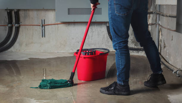 Best Ceiling water damage repair  in Colorado City, AZ