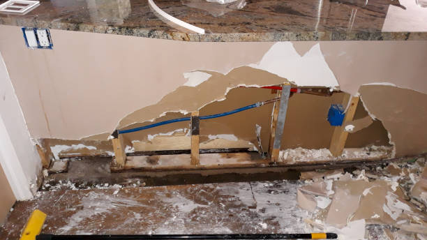 Best Fire Damage Restoration  in Colorado City, AZ