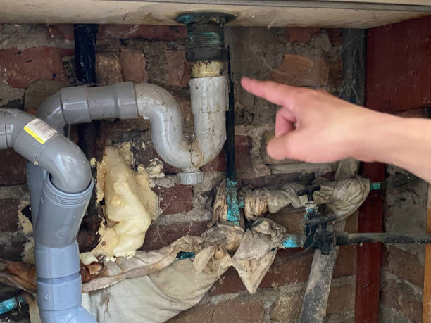 Best Water damage contractors near me  in Colorado City, AZ