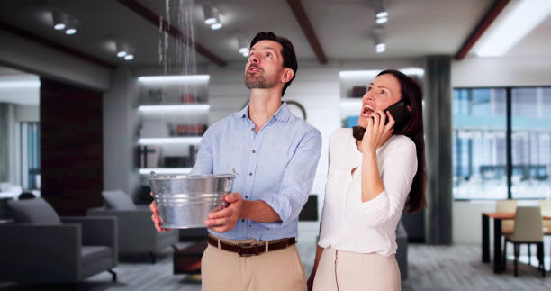 Best Local water damage restoration  in Colorado City, AZ